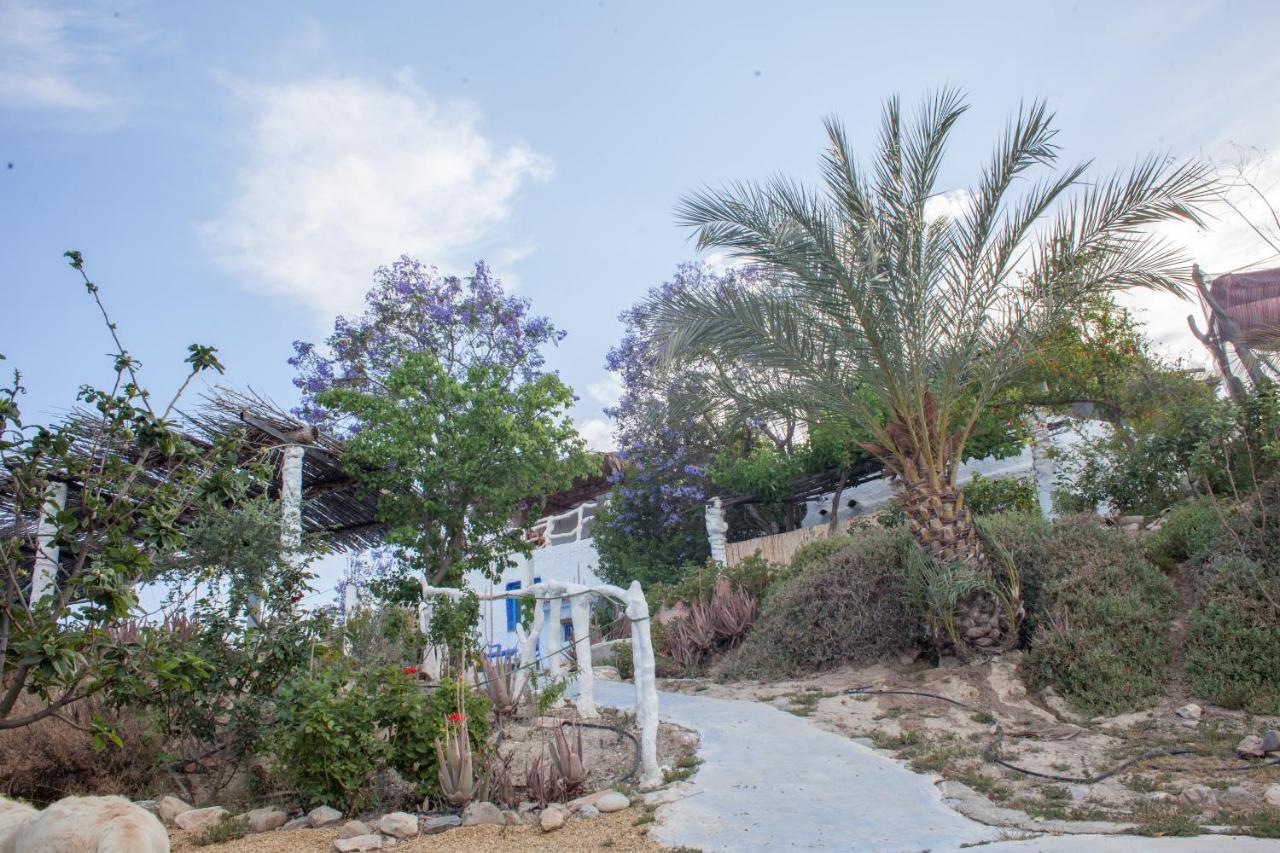 Casa Rural Aloe Vera Huércal-Overa Kültér fotó