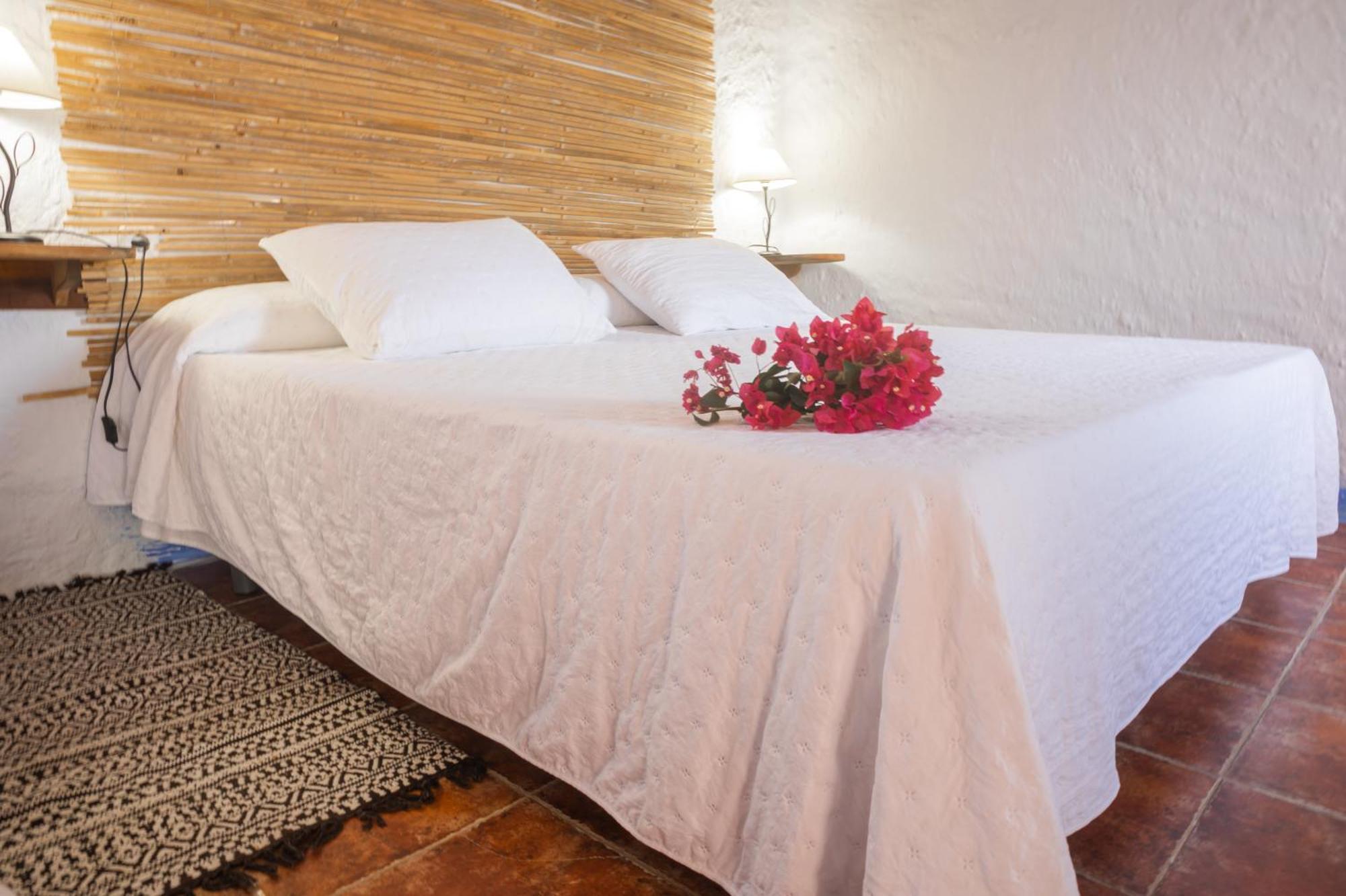 Casa Rural Aloe Vera Huércal-Overa Kültér fotó