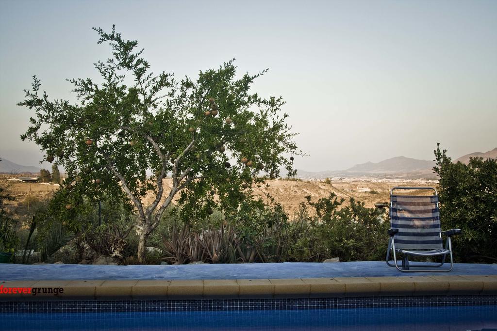 Casa Rural Aloe Vera Huércal-Overa Kültér fotó