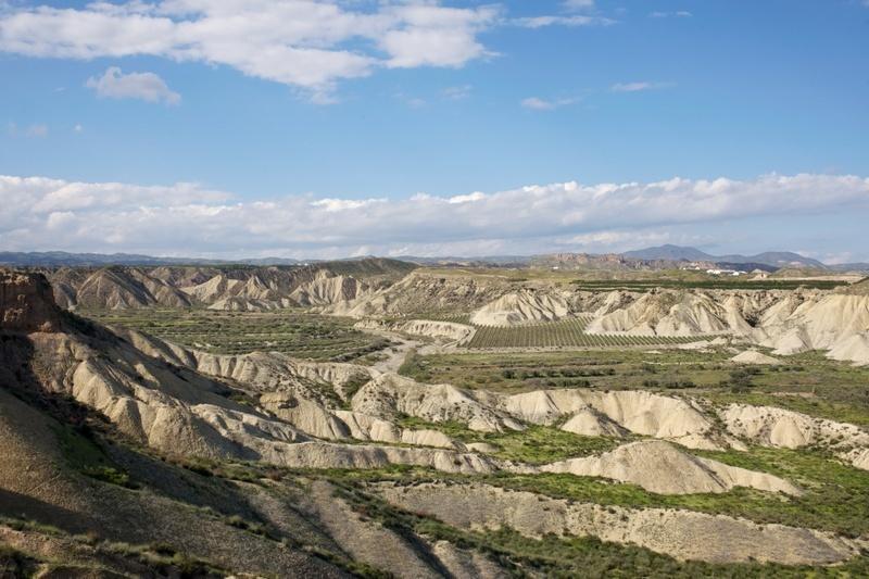 Casa Rural Aloe Vera Huércal-Overa Kültér fotó