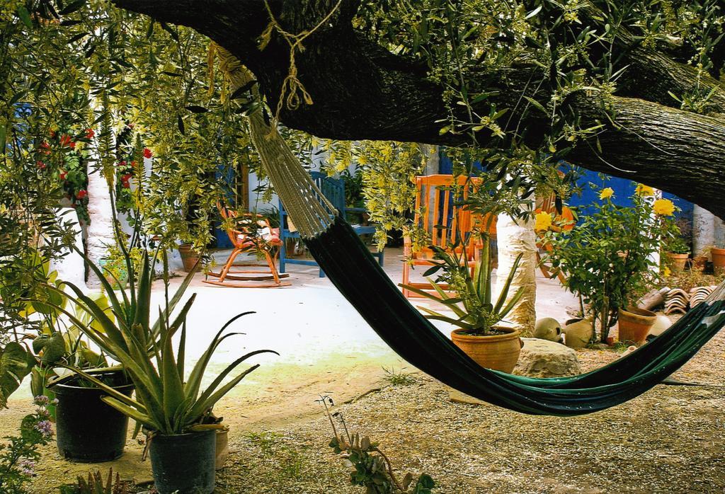 Casa Rural Aloe Vera Huércal-Overa Kültér fotó