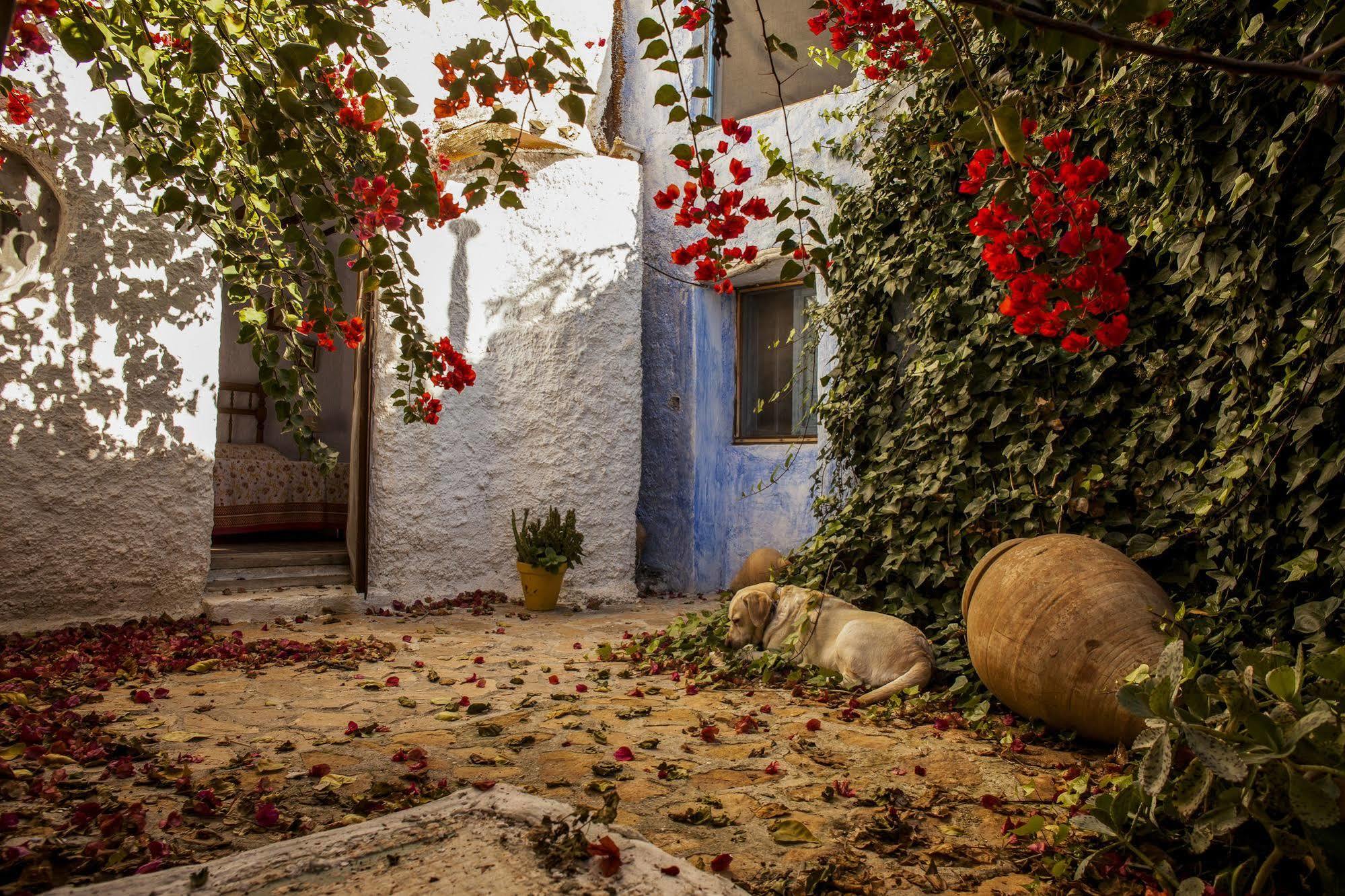 Casa Rural Aloe Vera Huércal-Overa Kültér fotó